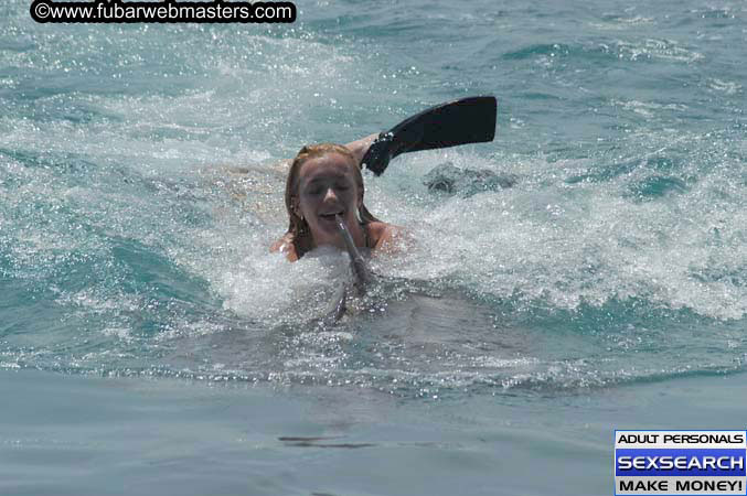 Local Billing Dolphin Encounter and Swim 2005