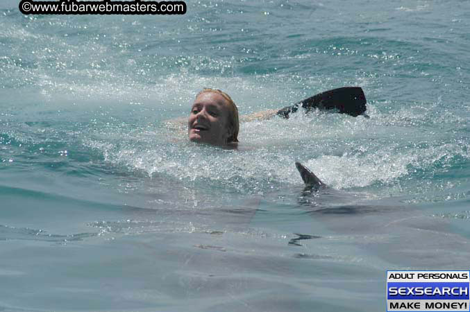 Local Billing Dolphin Encounter and Swim 2005