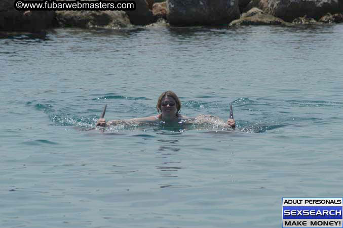 Local Billing Dolphin Encounter and Swim 2005