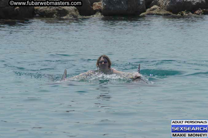 Local Billing Dolphin Encounter and Swim 2005