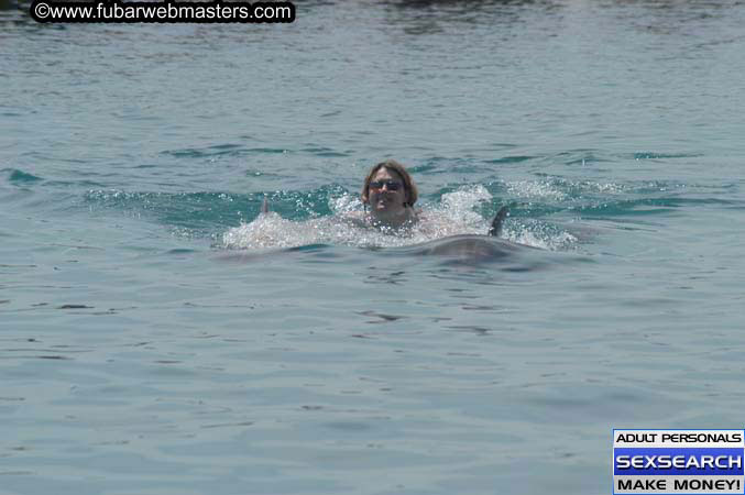 Local Billing Dolphin Encounter and Swim 2005