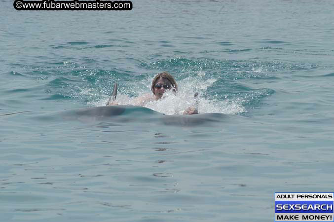 Local Billing Dolphin Encounter and Swim 2005