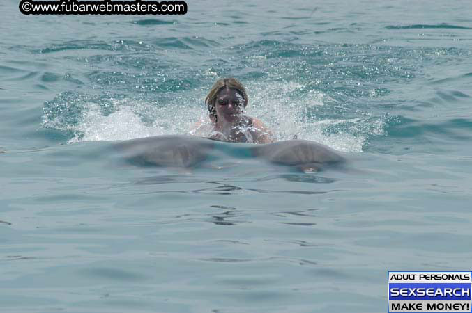 Local Billing Dolphin Encounter and Swim 2005
