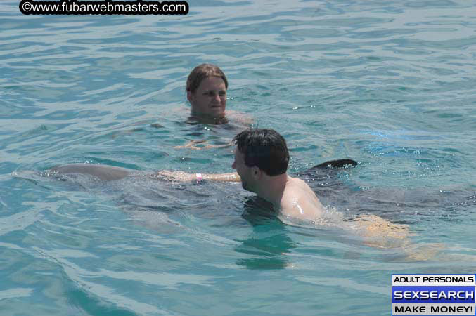 Local Billing Dolphin Encounter and Swim 2005