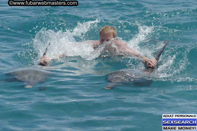 Local Billing Dolphin Encounter and Swim 2005