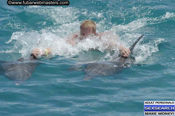 Local Billing Dolphin Encounter and Swim 2005