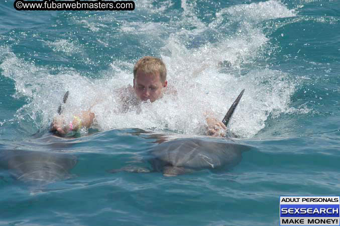 Local Billing Dolphin Encounter and Swim 2005