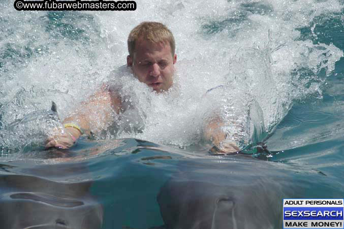 Local Billing Dolphin Encounter and Swim 2005