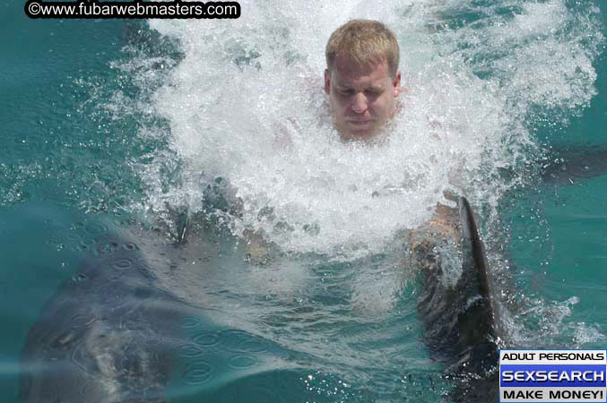 Local Billing Dolphin Encounter and Swim 2005