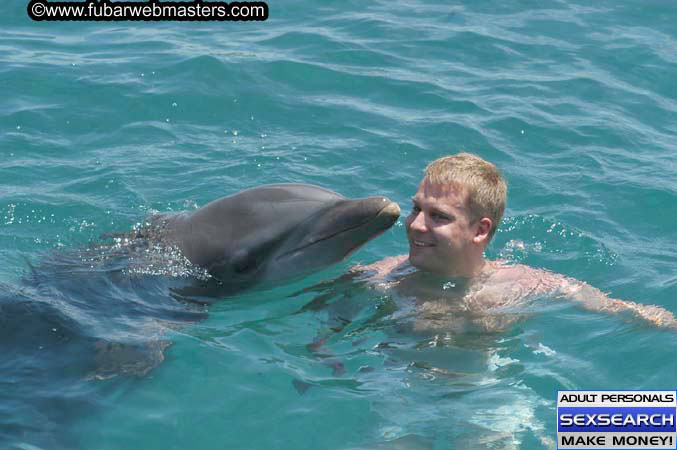 Local Billing Dolphin Encounter and Swim 2005