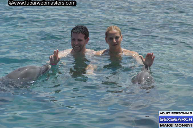 Local Billing Dolphin Encounter and Swim 2005