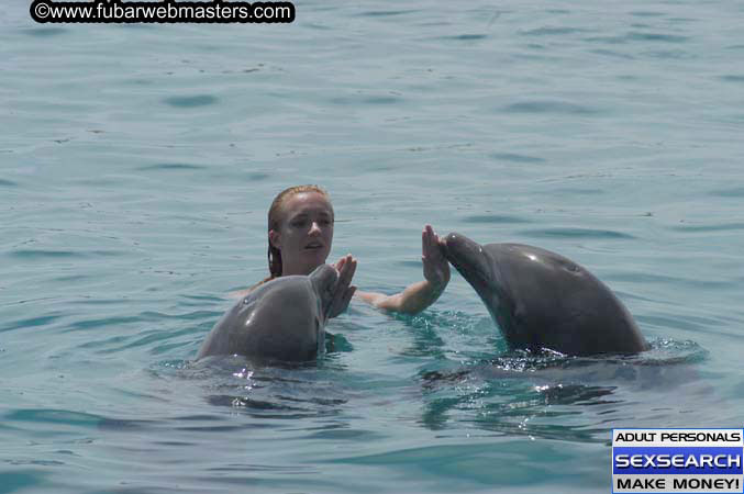 Local Billing Dolphin Encounter and Swim 2005