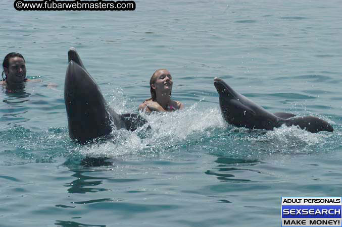 Local Billing Dolphin Encounter and Swim 2005