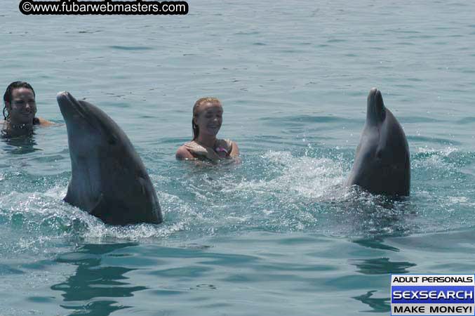 Local Billing Dolphin Encounter and Swim 2005