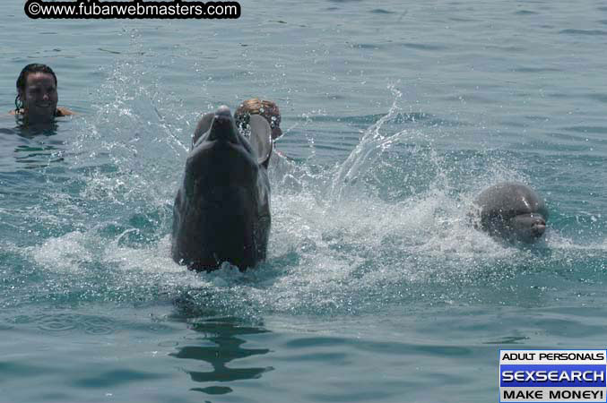 Local Billing Dolphin Encounter and Swim 2005