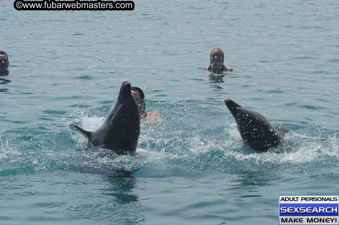 Local Billing Dolphin Encounter and Swim 2005