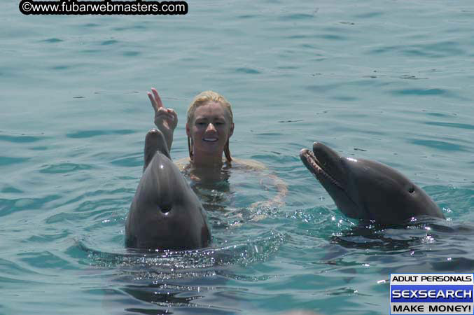 Local Billing Dolphin Encounter and Swim 2005