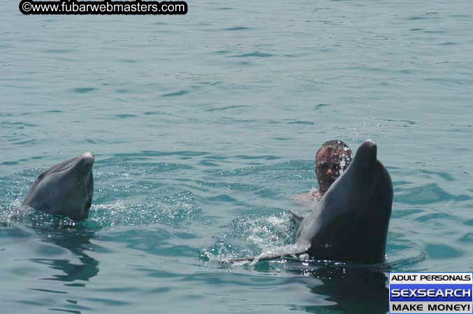 Local Billing Dolphin Encounter and Swim 2005