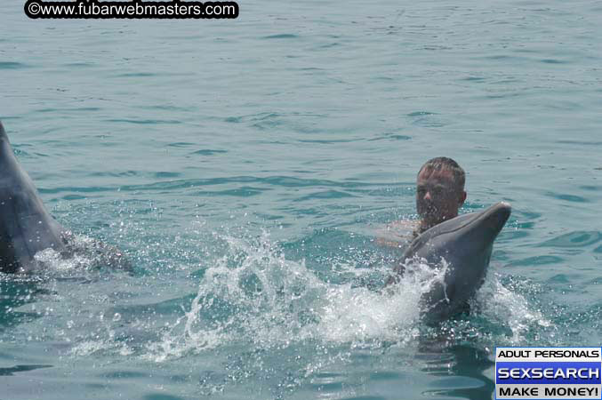 Local Billing Dolphin Encounter and Swim 2005