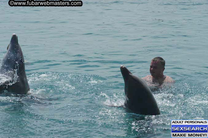 Local Billing Dolphin Encounter and Swim 2005