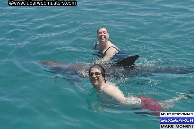 Local Billing Dolphin Encounter and Swim 2005