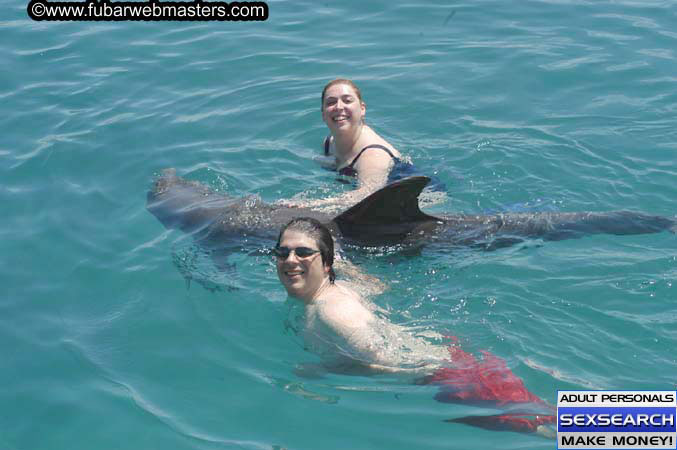 Local Billing Dolphin Encounter and Swim 2005