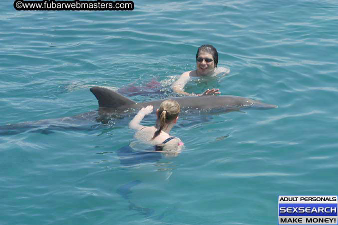 Local Billing Dolphin Encounter and Swim 2005