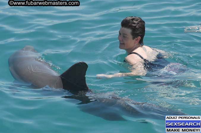 Local Billing Dolphin Encounter and Swim 2005