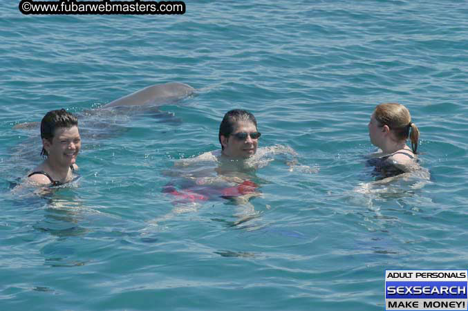 Local Billing Dolphin Encounter and Swim 2005