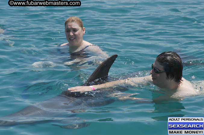 Local Billing Dolphin Encounter and Swim 2005