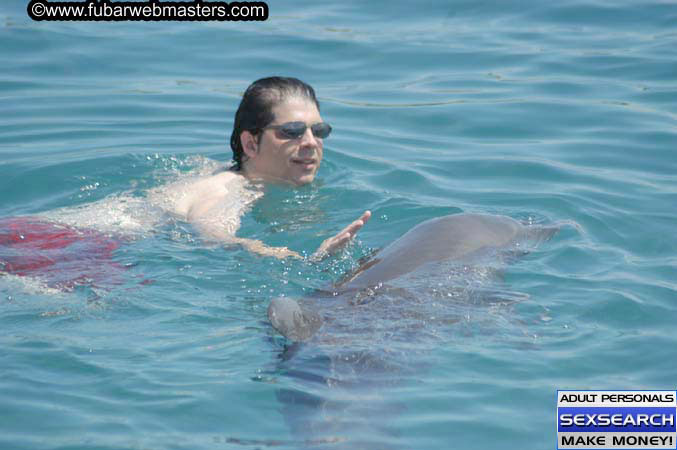 Local Billing Dolphin Encounter and Swim 2005