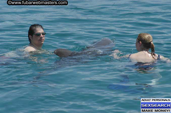 Local Billing Dolphin Encounter and Swim 2005
