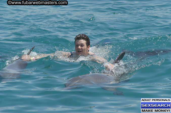 Local Billing Dolphin Encounter and Swim 2005
