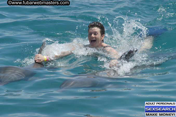 Local Billing Dolphin Encounter and Swim 2005