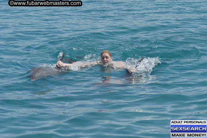 Local Billing Dolphin Encounter and Swim 2005