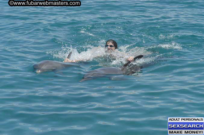 Local Billing Dolphin Encounter and Swim 2005
