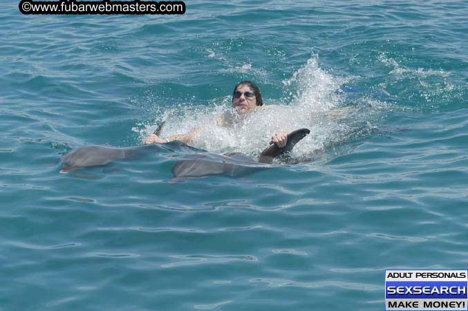 Local Billing Dolphin Encounter and Swim 2005