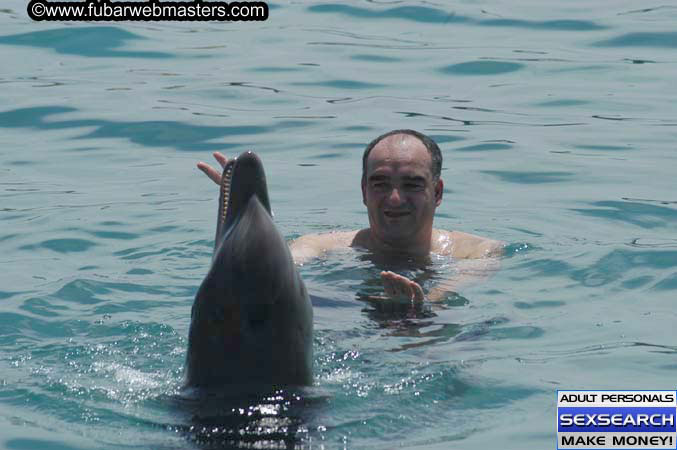 Local Billing Dolphin Encounter and Swim 2005