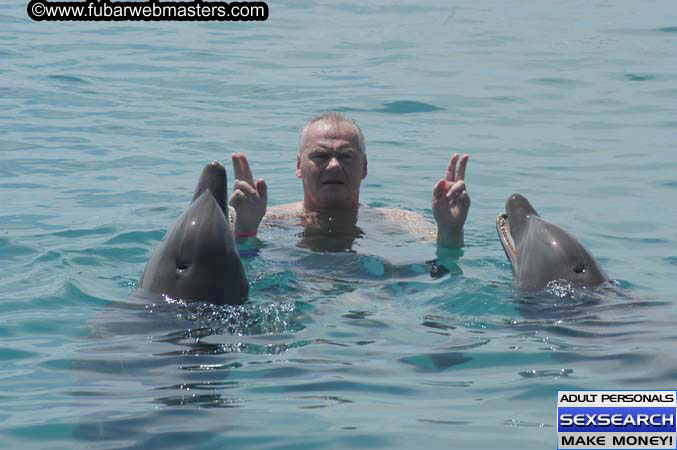 Local Billing Dolphin Encounter and Swim 2005