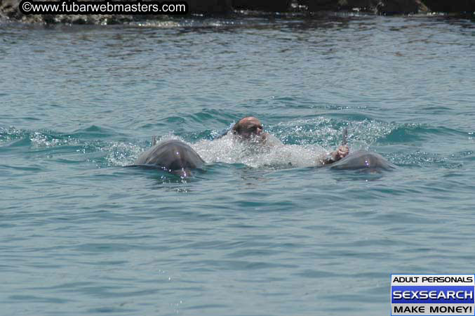Local Billing Dolphin Encounter and Swim 2005