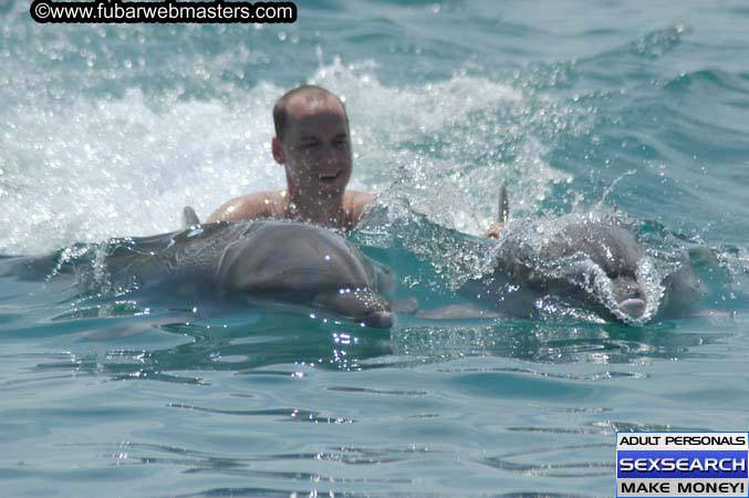 Local Billing Dolphin Encounter and Swim 2005