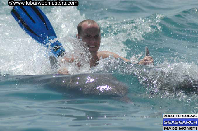 Local Billing Dolphin Encounter and Swim 2005
