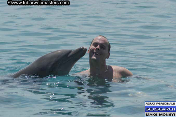 Local Billing Dolphin Encounter and Swim 2005