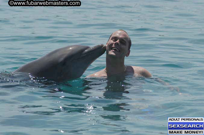 Local Billing Dolphin Encounter and Swim 2005