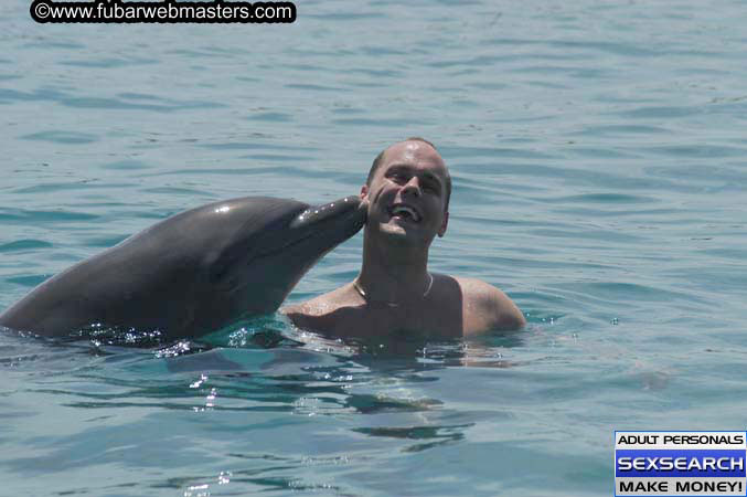 Local Billing Dolphin Encounter and Swim 2005