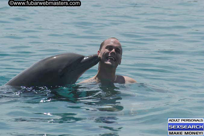 Local Billing Dolphin Encounter and Swim 2005