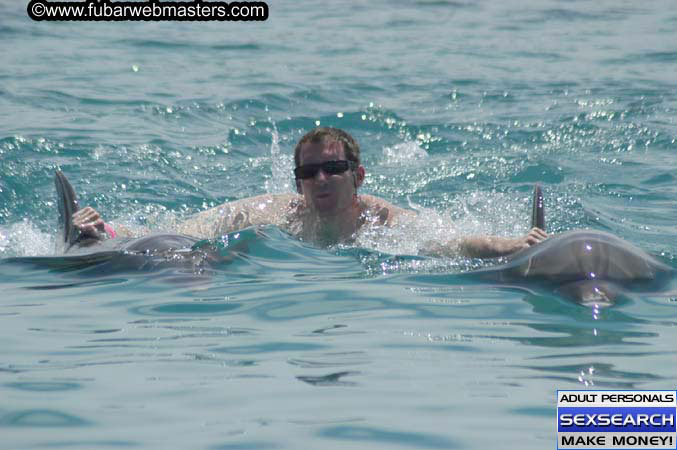 Local Billing Dolphin Encounter and Swim 2005