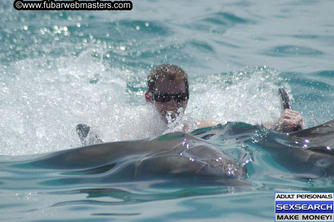 Local Billing Dolphin Encounter and Swim 2005