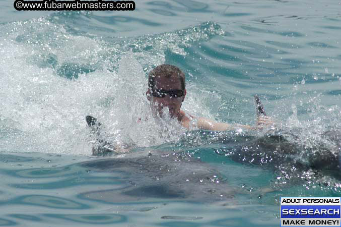 Local Billing Dolphin Encounter and Swim 2005