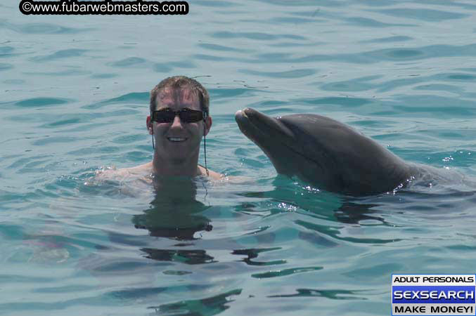 Local Billing Dolphin Encounter and Swim 2005